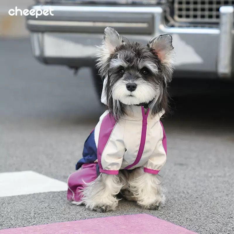 Cappotti e abbigliamento per cani - collezione completa