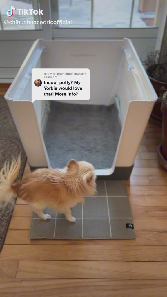Traversine usa e getta per cani - vista principale
