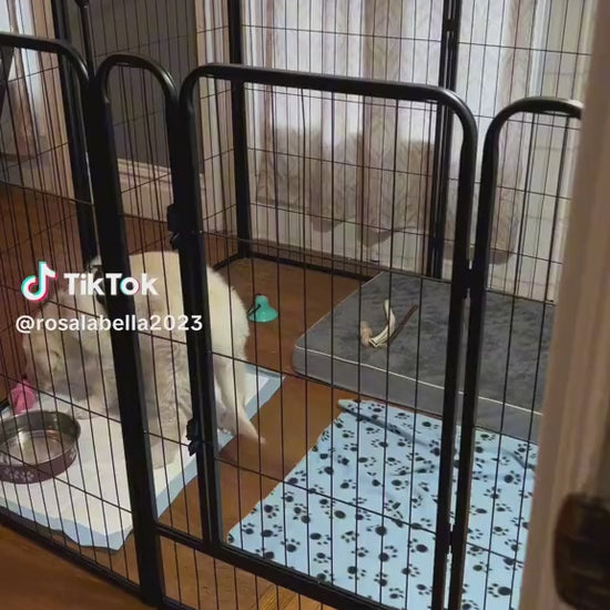 Traversine usa e getta per cani - vista principale
