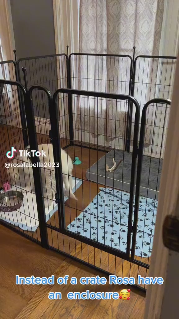 Traversine usa e getta per cani - vista principale
